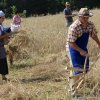 Krajevna skupnost Mala Nedelja